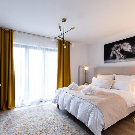 Quibio Apart Terrace Braşov Exteriör bild