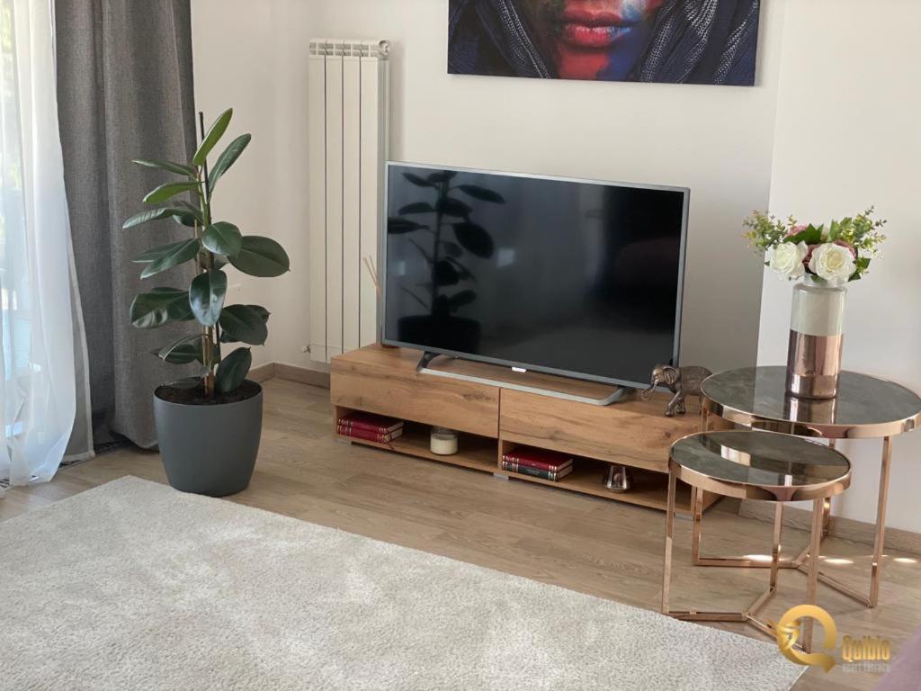 Quibio Apart Terrace Braşov Exteriör bild